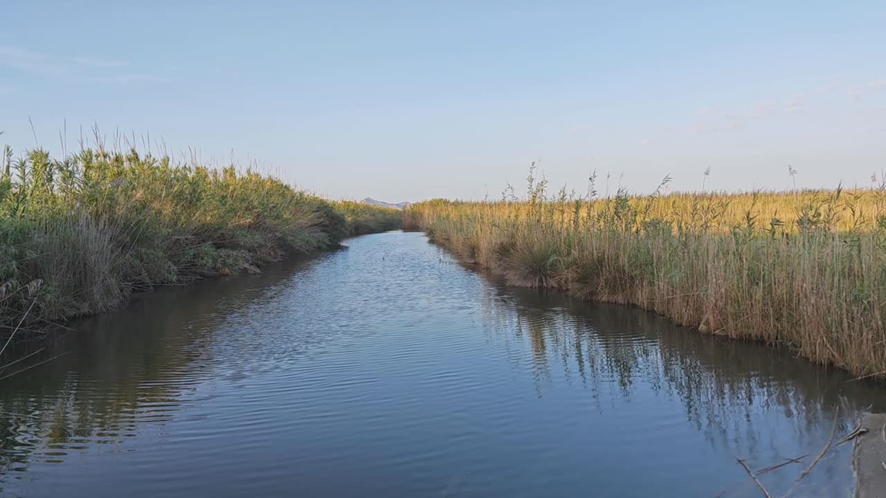 la laguna es un área natural protegida.