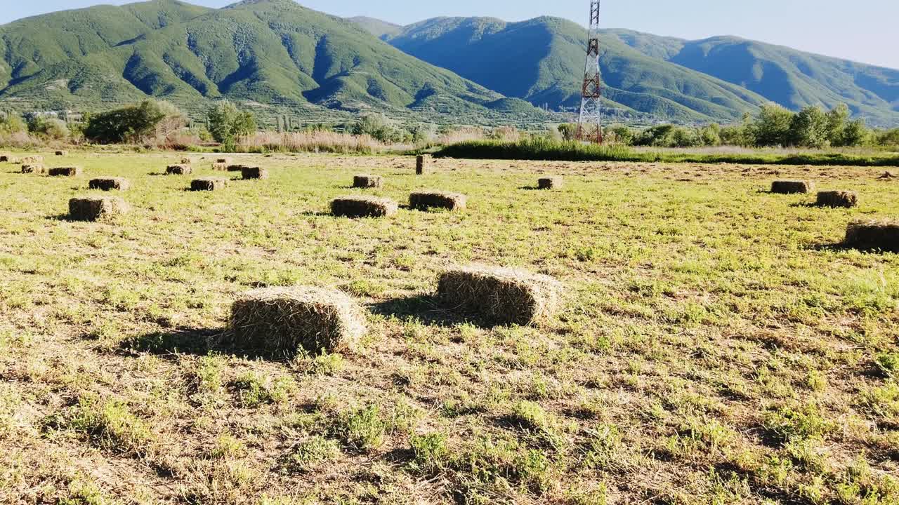 거대한  에 둥근 어리가 놓여 있습니다.