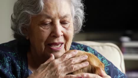 a heartwarming moment: elderly woman engaging with beloved companion, sharing joy and affection in a cozy indoor setting