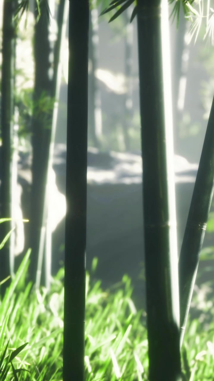 Scena di una foresta di bambù con luce intensa che filtra attraverso le foglie verdi.