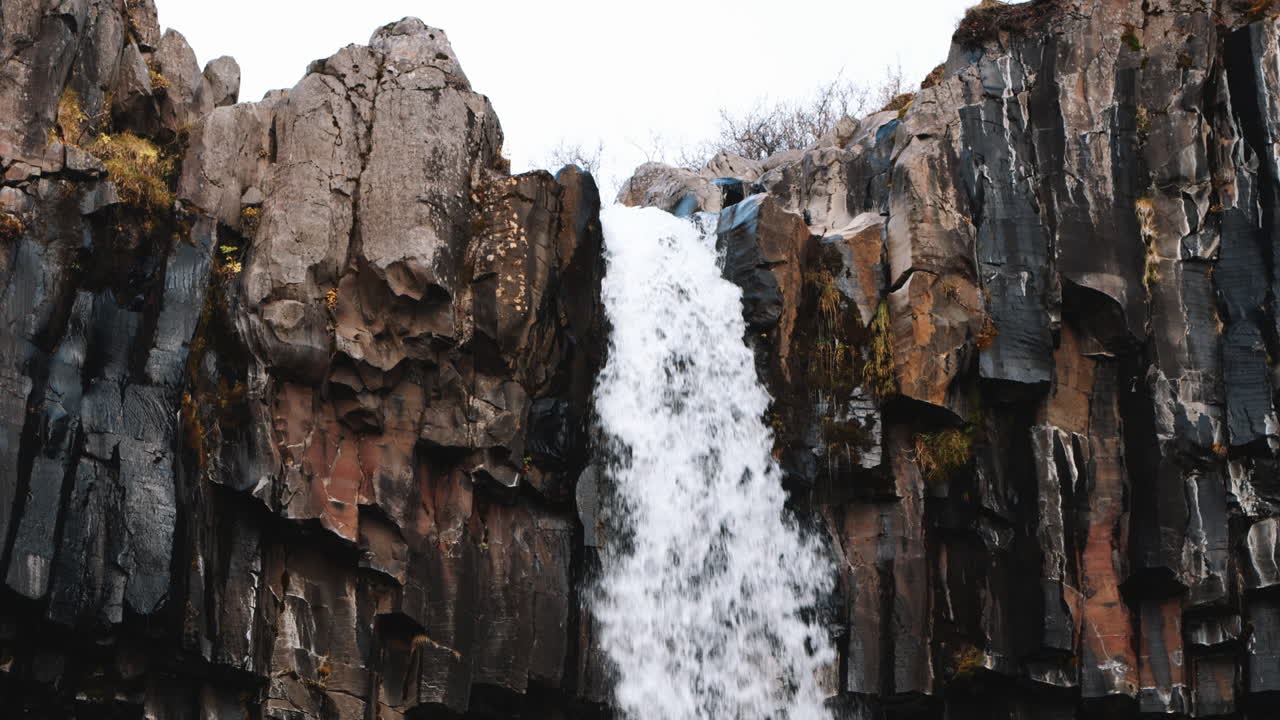 el agua se vierte sobre el acantilado de basalto en la parte superior de la cascada svartifoss en islandia