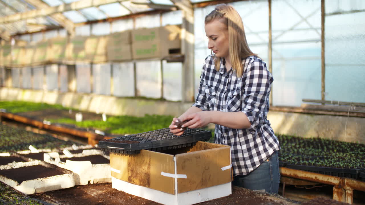 крупным планом женщина-садовник рассаживает саженцы