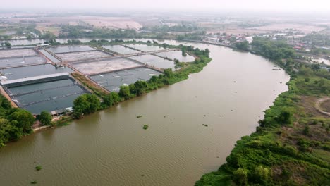 the flying environment plants the greenery forest and riverside