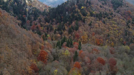 árboles-Del-Bosque-De-Otoño-Vista-Aérea-De-Follaje-Amarillo-Y-Rojo,-Parque-Natural-Colorido