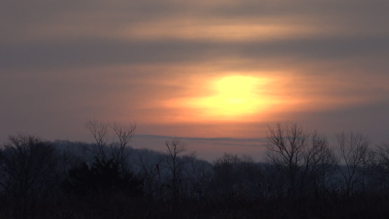 Golden Sunset Sky with Silhouetted Bare Trees