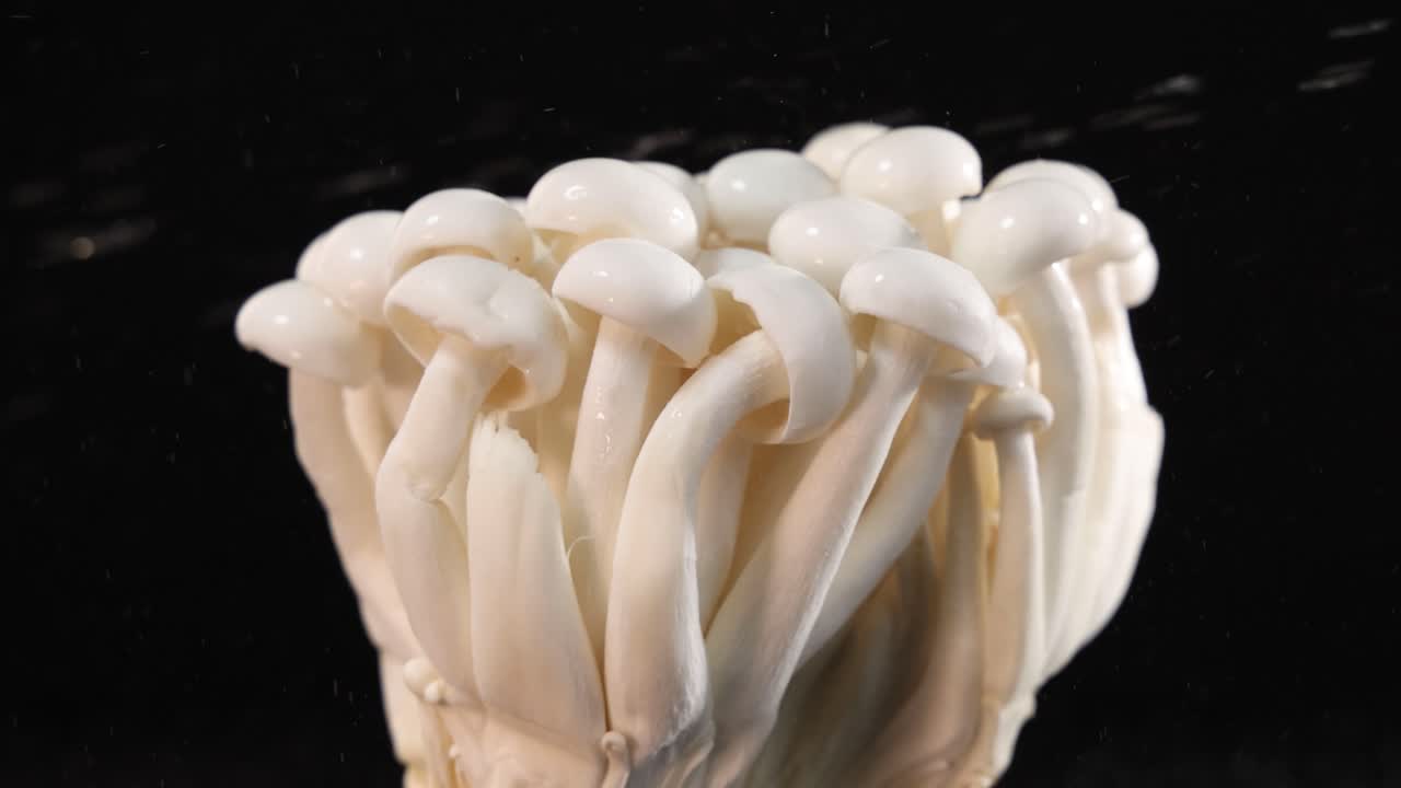 A cluster of white shimeji mushrooms is sprayed with water, captured in slow motion against a black background with dramatic studio lighting and minimal camera movement