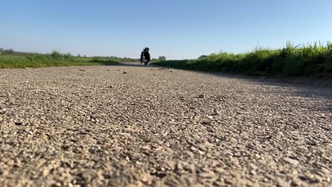 Perro-Corriendo-En-Cámara-Lenta-Hacia-La-Cámara,-Tiro-De-ángulo-Bajo