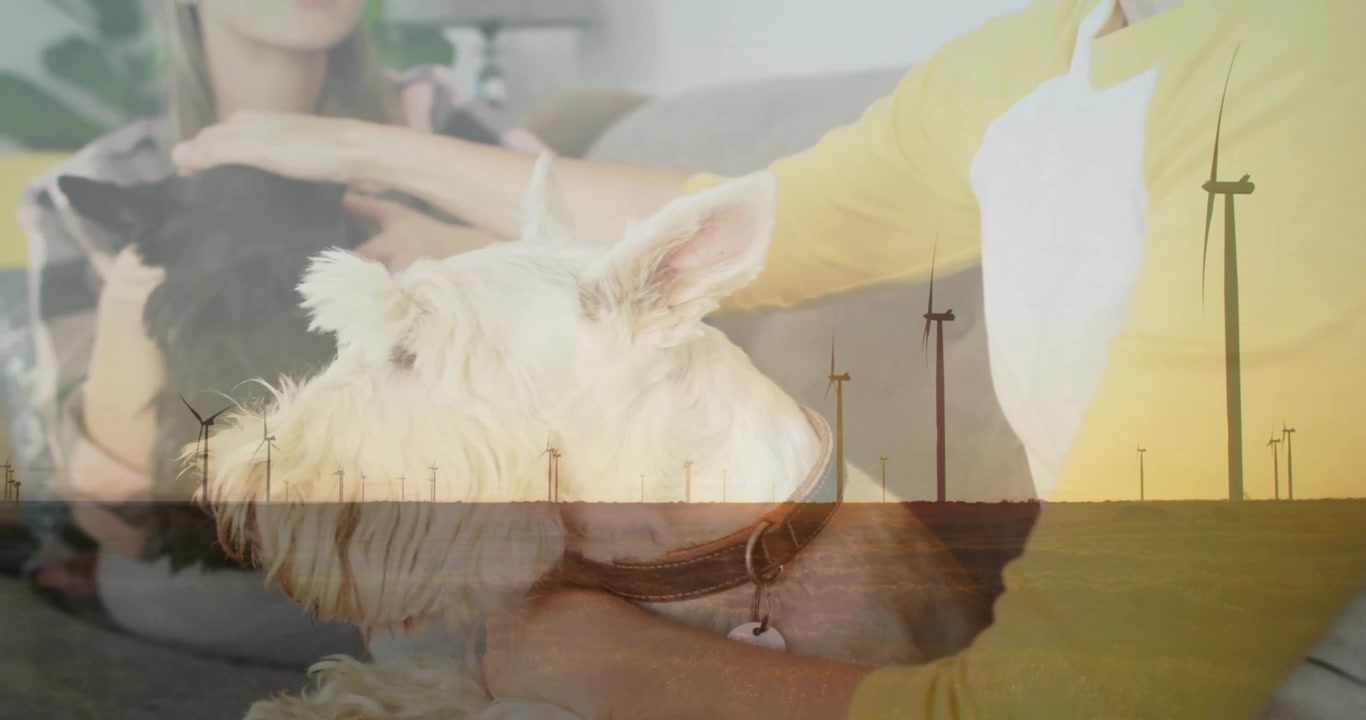 Mulheres alcançando e acariciando um terrier e um filhote em cuidados com animais de estimação, proporcionando alegria enquanto turbinas eólicas ao fundo