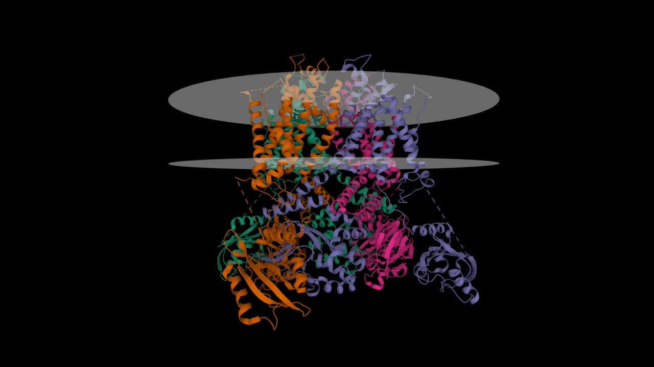 Structure of the human ether-a-go-go related potassium channel