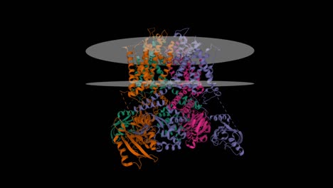 structure of the human ether-a-go-go related potassium channel