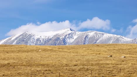 wide timelapse shot of snow-covered mountains and drifting clouds above a golden grass field in daylight, captured at lake tekapo, new zealand
