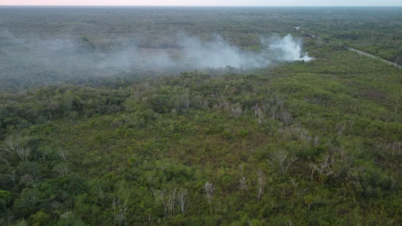 esta fascinante vista aérea muestra un bosque del que emana humo