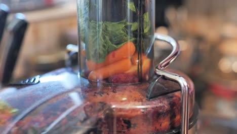 fruits, berries, and vegetables being pressed into juicer