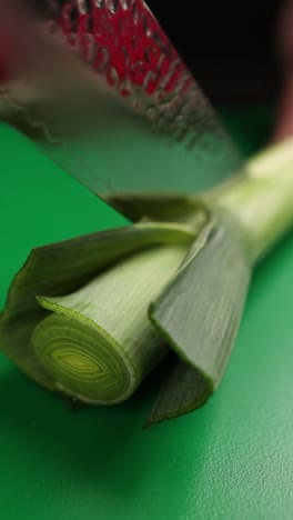 cutting a leek