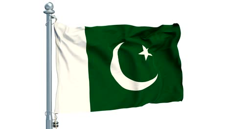 la bandera pakistaní ondeando sobre un fondo blanco, animación. rendering en 3d