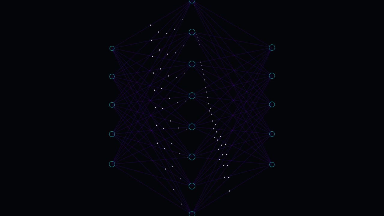 Neural Network Data Processing Visualization