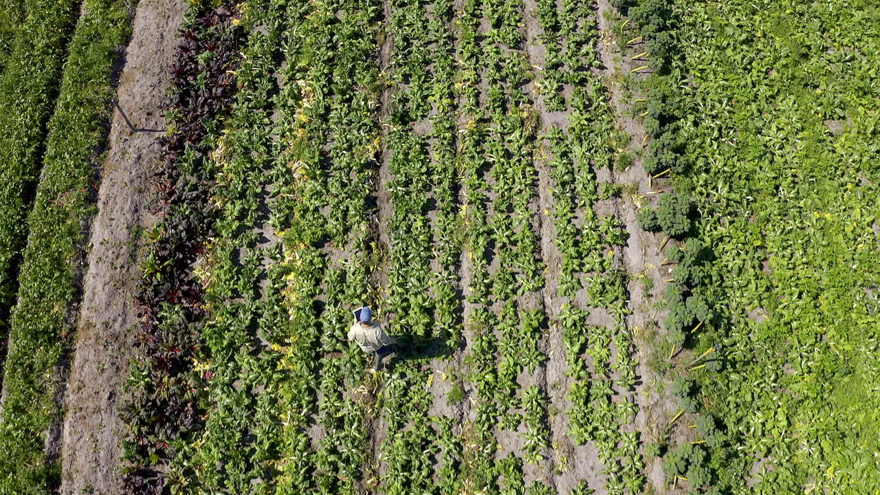 He'll reap the rewards during the harvest season