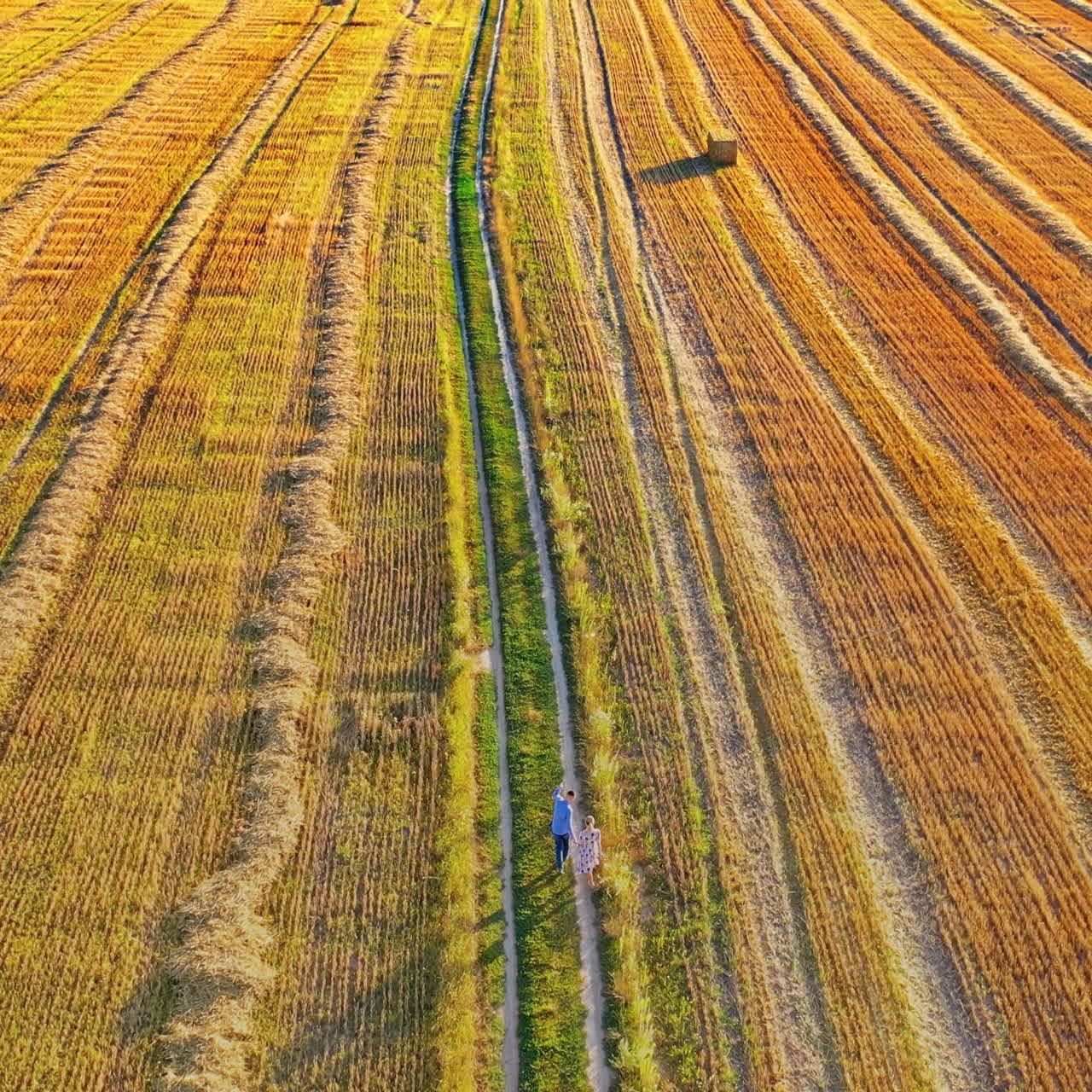 Loving couple with a flying kite in nature. Man and woman holding hands together and walking on the brown field. Lovers with a bright kite outdoors.