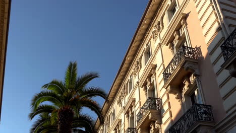 ornate building facade with palm tree against clear blue sky