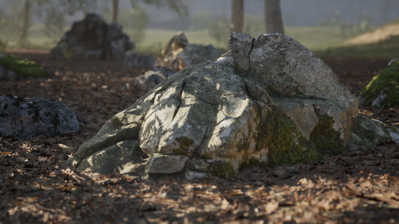 Natural rocky formation with moss in a tranquil outdoor setting during daylight