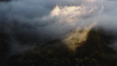 bird's eye view of the trees and the clouds then traveling on cloud and mountain