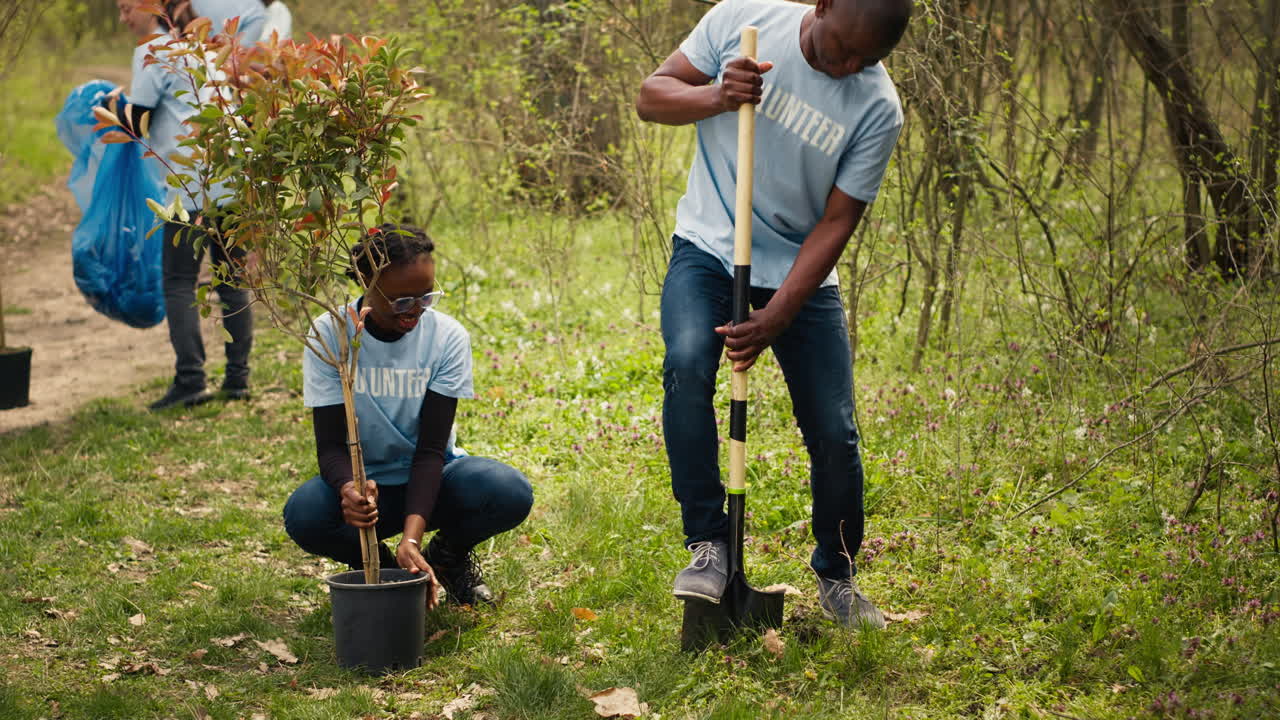 Team of activists planting trees to conserve natural ecosystem and forest
