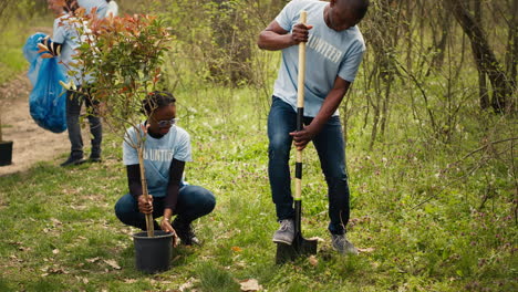 team of activists planting trees to conserve natural ecosystem and forest