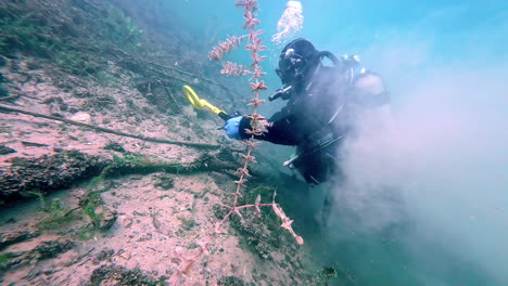 usando un detector de metales en el lago attersee en busca de objetos perdidos o hundidos