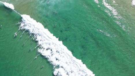 vista aérea de los surfistas disfrutaron montando olas perfectas en la playa de bondi - lugar de surf en bondi, nsw, australia