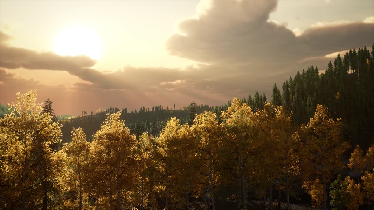 소나무 숲에서 마지막으로 태양이 빛나고 있습니다.