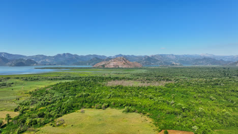 aerial tracking shot over greenery of the lake skadar national park, montenegro