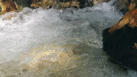 close-up of a fast-flowing stream in nature