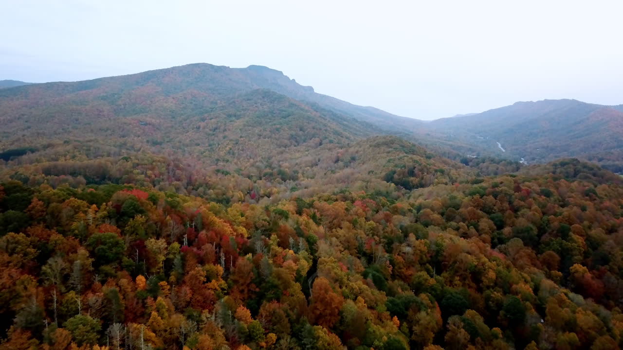 abuelo montaña carolina del norte colores de otoño, abuelo montaña nc antena en 4k