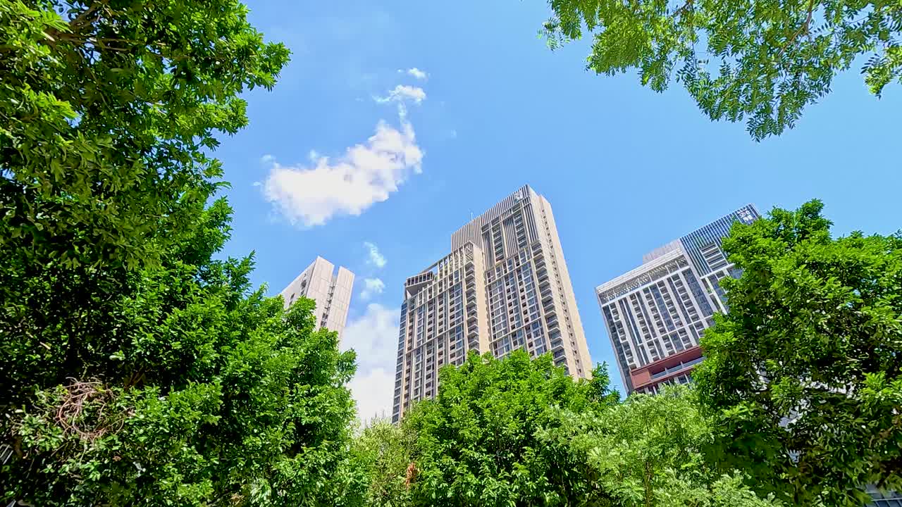 A dynamic view of Bangkok's skyline framed by vibrant trees, showcasing urban nature harmony under bright daylight