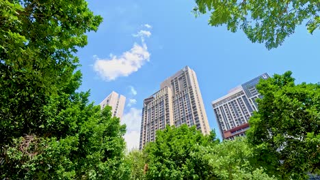 a dynamic view of bangkok's skyline framed by vibrant trees, showcasing urban nature harmony under bright daylight