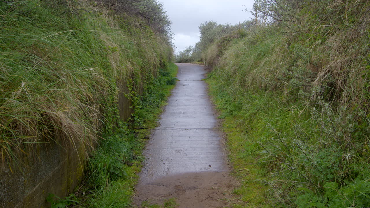테들토르프 해변, 모래 언덕, 솔트플리트비 국립 자연 보호구역으로 가는 오래된 군사 콘크리트 도로를 바라보는 중간