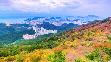 otoño en la ciudad de busan paisaje urbano de corea del sur