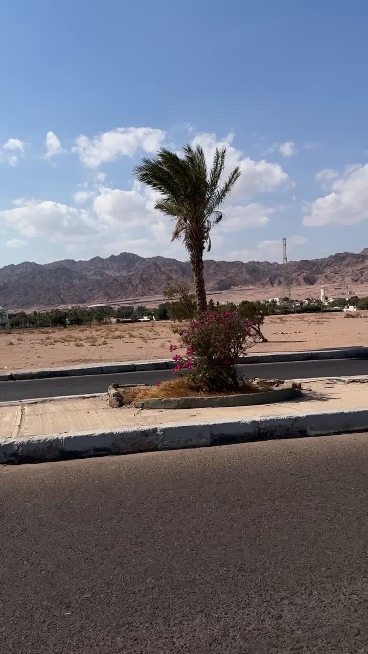 una vista de un desierto desde un coche en la carretera, tiroteo de camiones
