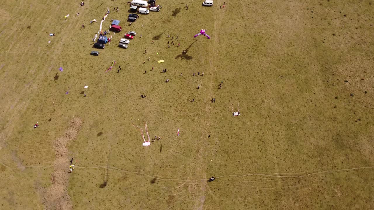 muchas cometas coloridas con forma de animales que vuelan durante la reunión del evento del festival