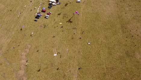 Many-colorful-animal-shaped-kites-flying-during-festival-event-gathering