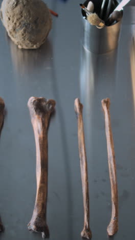 archaeological specimen examination in a lab