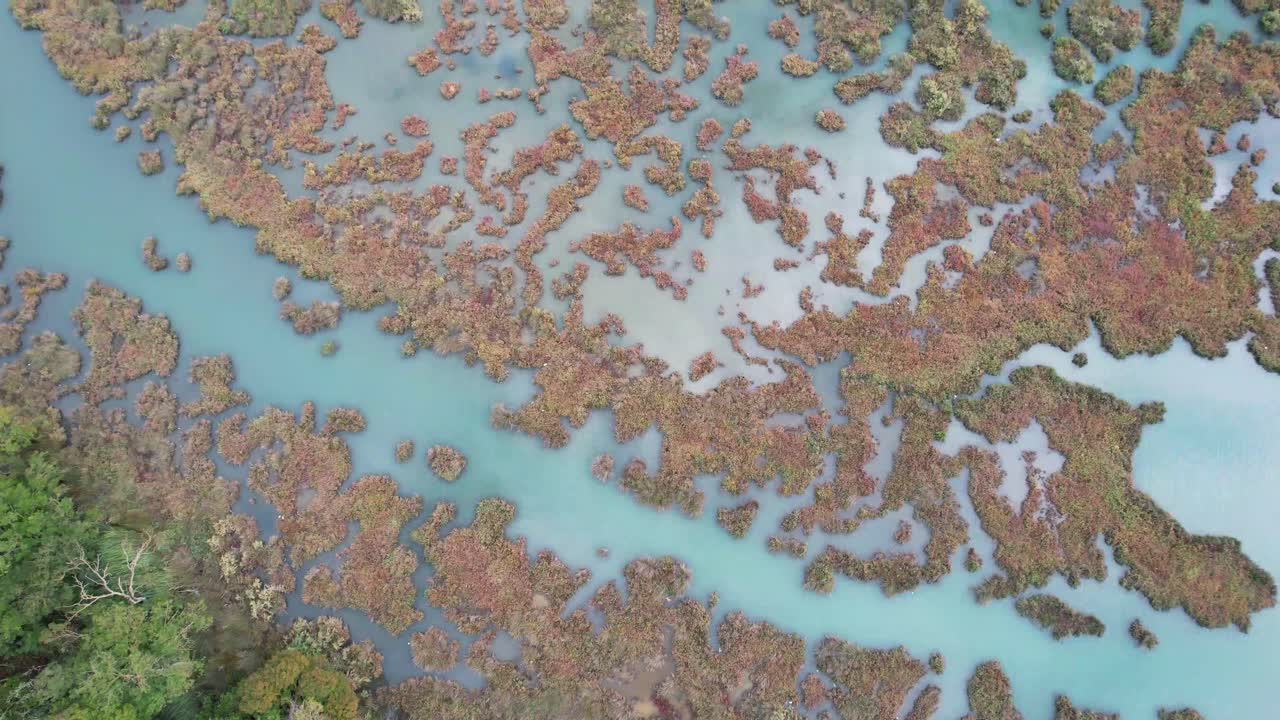 toma de arriba hacia abajo de un lugar especial en el parque nacional butrint en el sur de albania