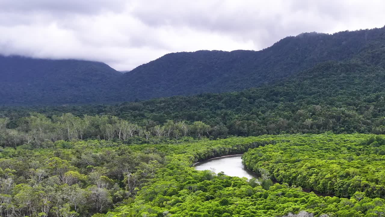 Drone glides above winding river, lush mangroves, and misty rainforest mountains under cloudy daylight