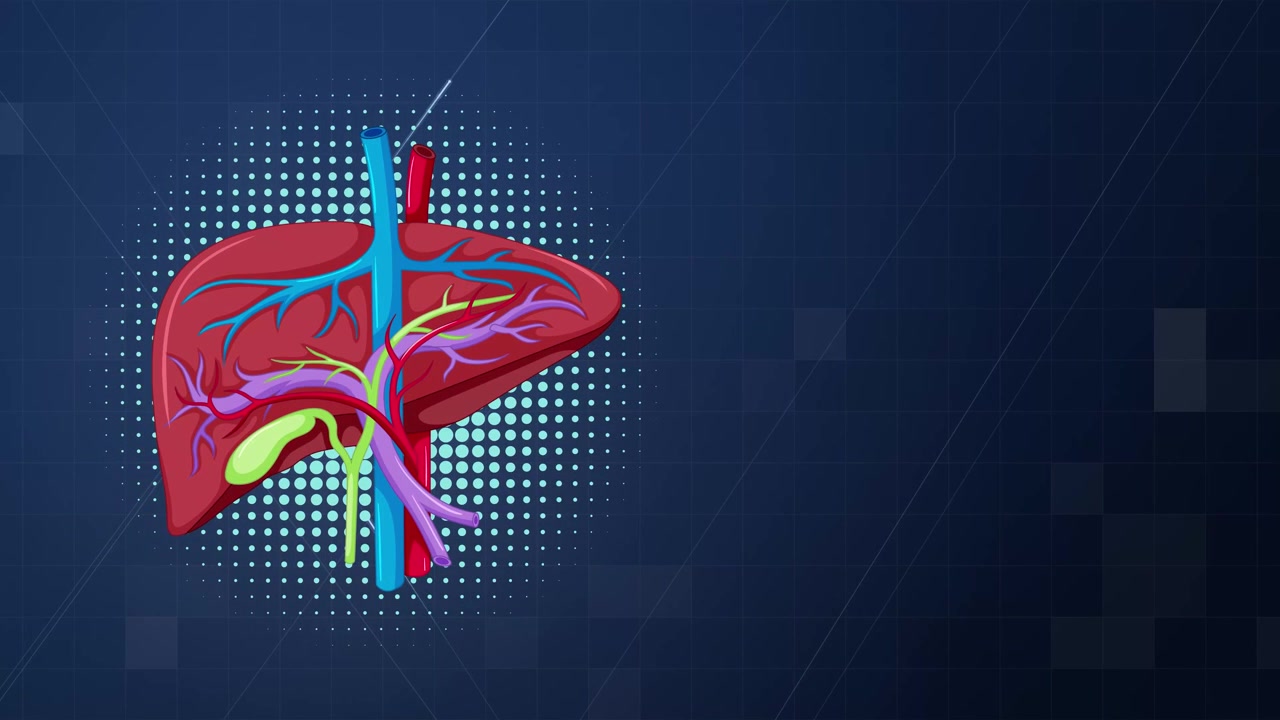 Graphic animation of human liver anatomy and gallbladder with copy space on dark blue background.