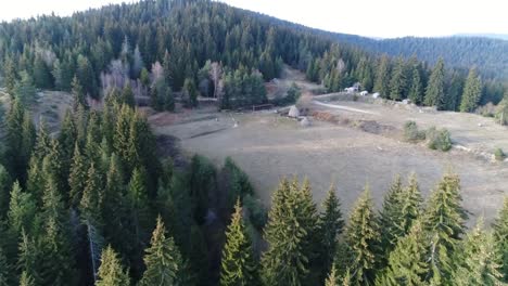 Disparo-De-Dron-Sobre-Un-Bosque-Y-Un-Pequeño-Campamento-Base