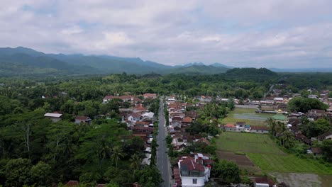 vista aérea de un camino recto que conduce directamente al templo de borobudur