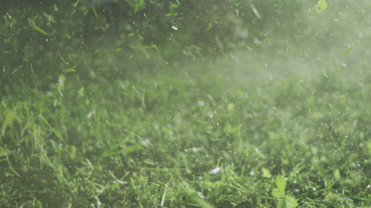 césped recién cortado