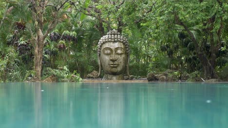 stone buddha head statue in the rain forest rainy jungle mood