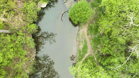 toma descendente sobre un río forestal tranquilo y reflexivo rodeado de árboles altos y arbustos en el parque