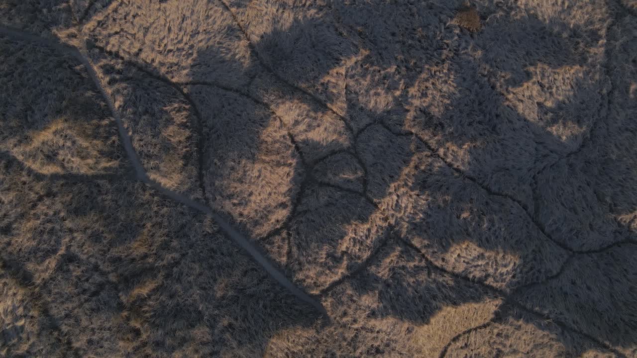 camino que conduce hacia el océano sobre dunas de arena, tiro aéreo de arriba hacia abajo